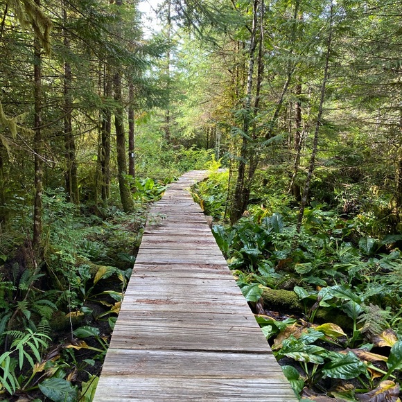 Meet your Posher, Sarah - Picture 1 of 1